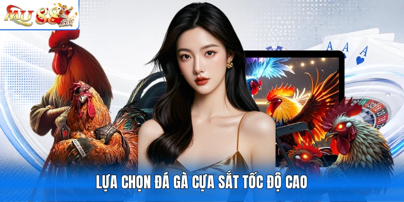 Lựa chọn đá gà cựa sắt tốc độ cao