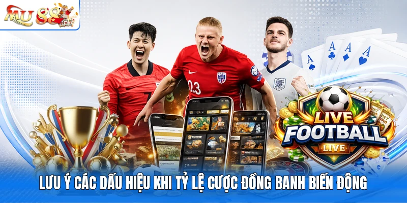 Lưu ý các dấu hiệu khi tỷ lệ cược đồng banh biến động