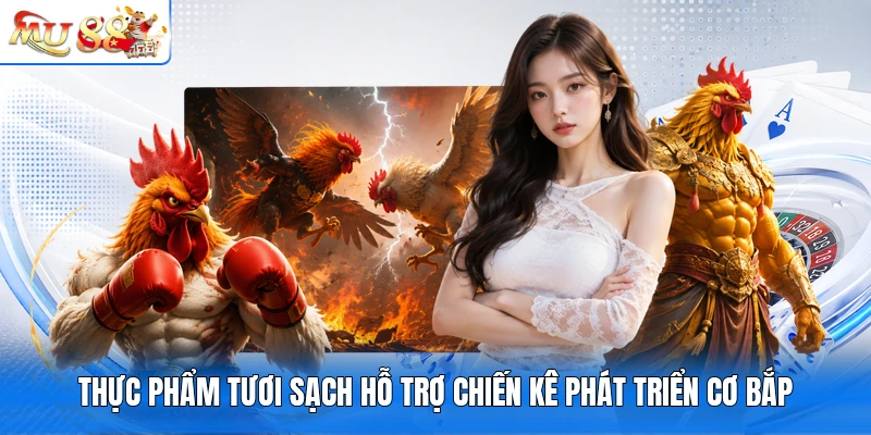 Thực phẩm tươi sạch hỗ trợ chiến kê phát triển cơ bắp